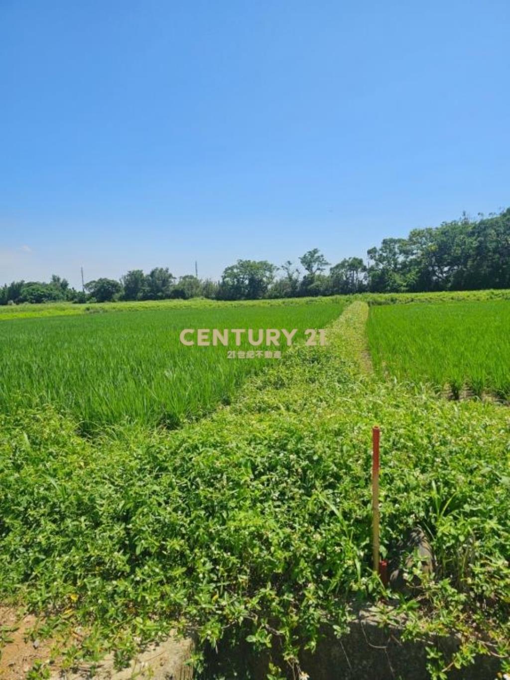 進市區前後路農地7