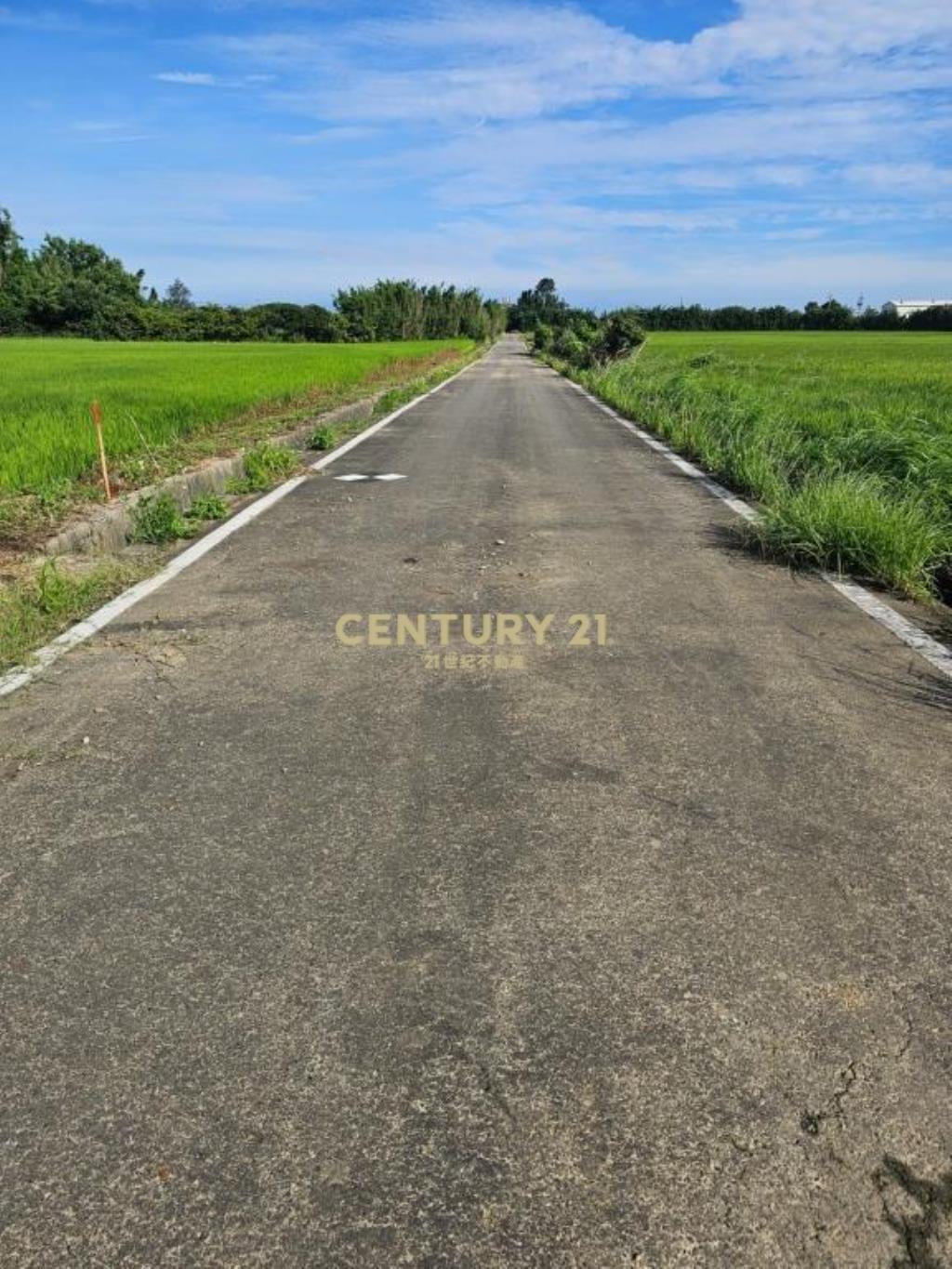 進市區前後路農地7