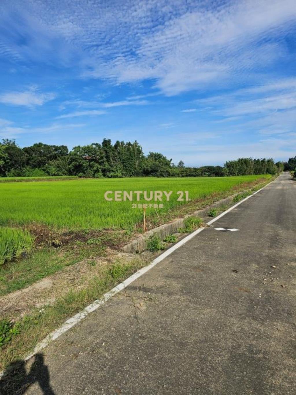 進市區前後路農地7