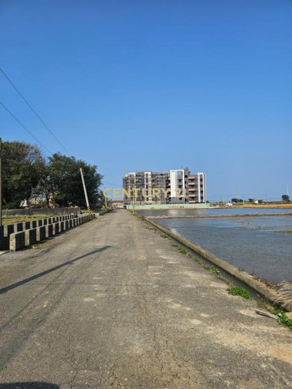 永安國小旁農地6