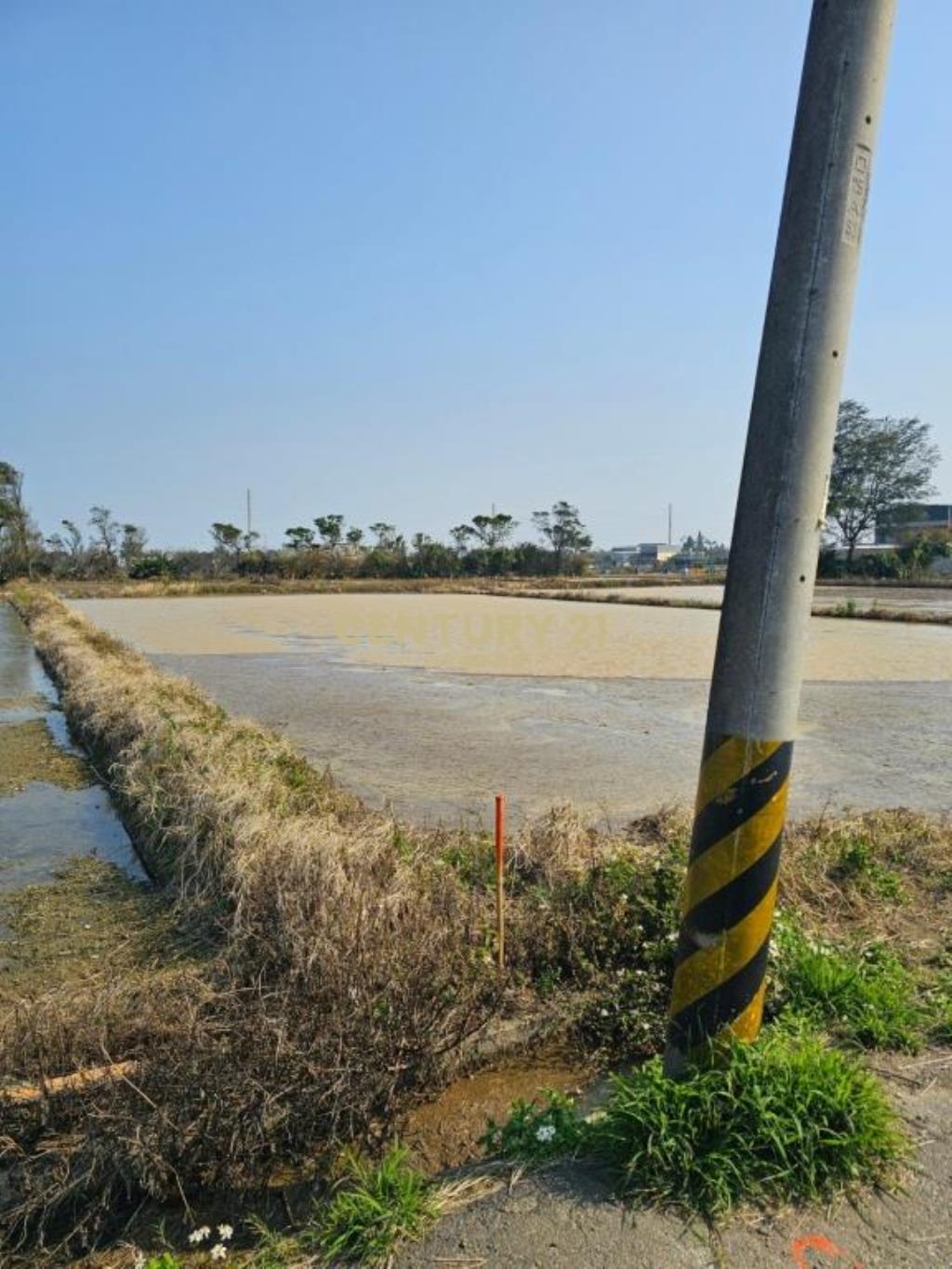 永安國小旁農地6