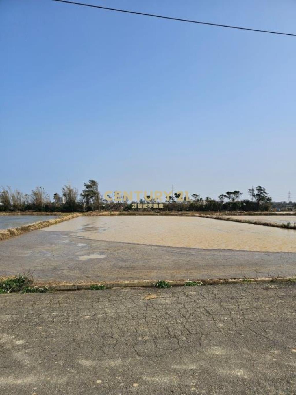 永安國小旁農地6