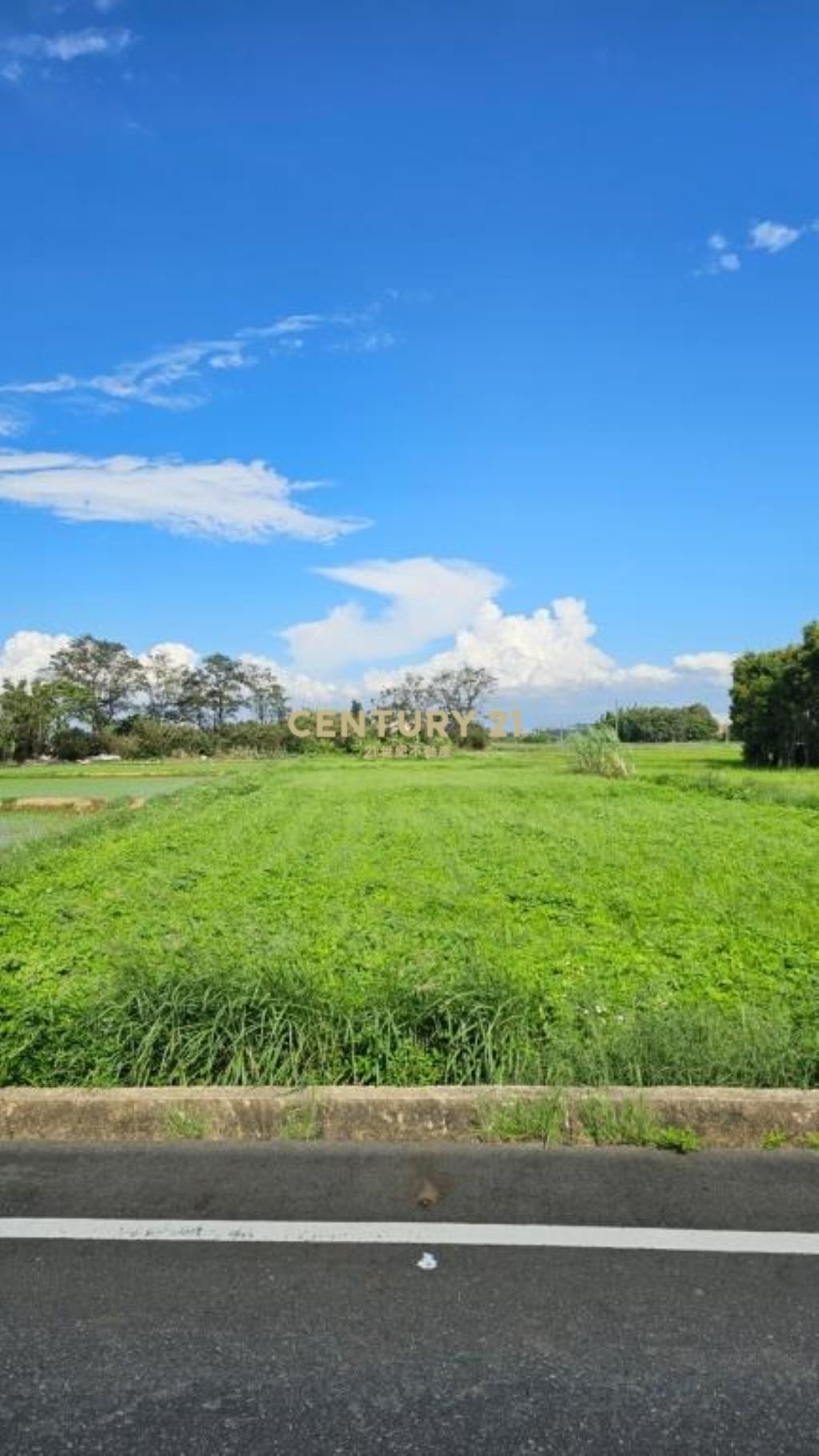 新屋區新湖路邊農1