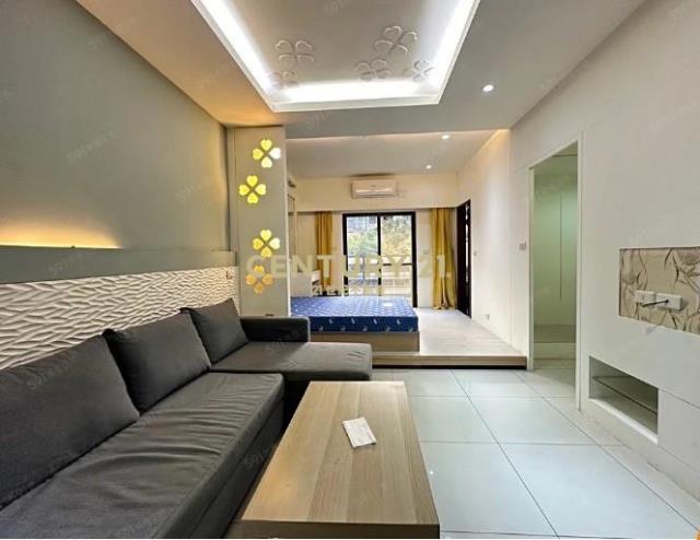 近藝文G10站1+1房B1平車