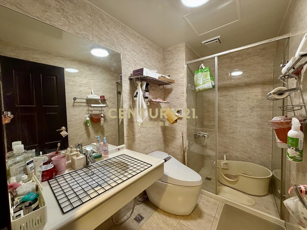 專-平鎮玉山民族極景極緻景觀三房車