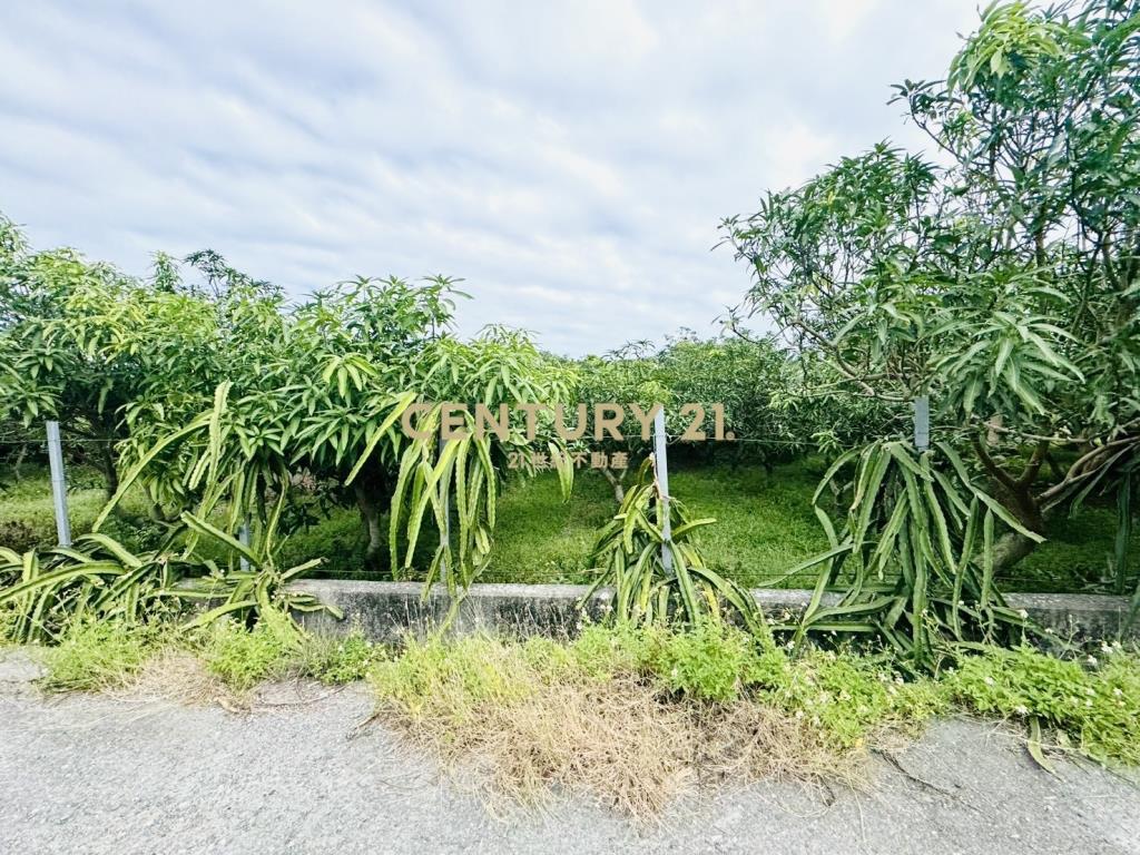 獨家退休民宿首選台東可建農舍方正農地 