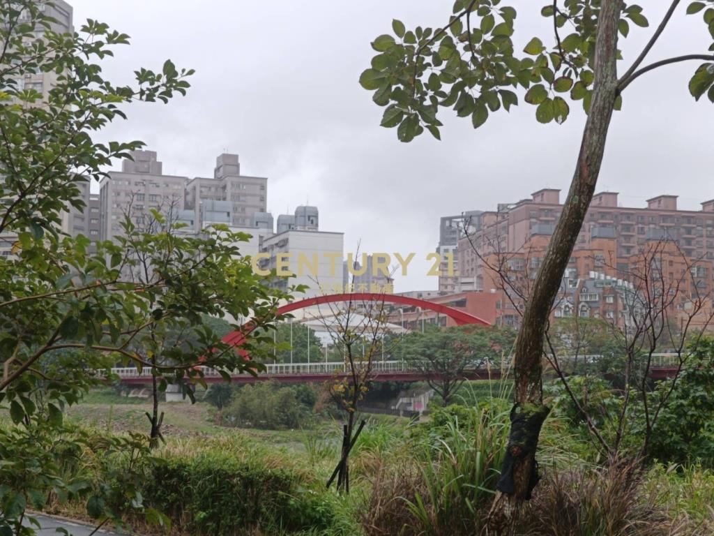 桃園天濶河岸第一排