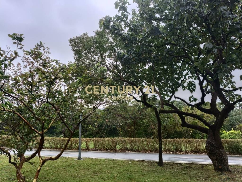 桃園天濶河岸第一排