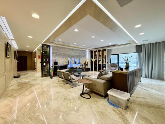 陽光山林超大地坪電梯豪宅