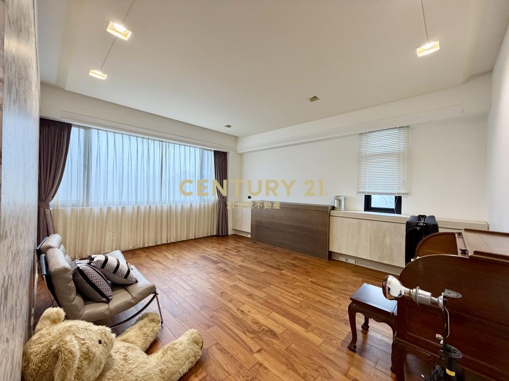 陽光山林超大地坪電梯豪宅