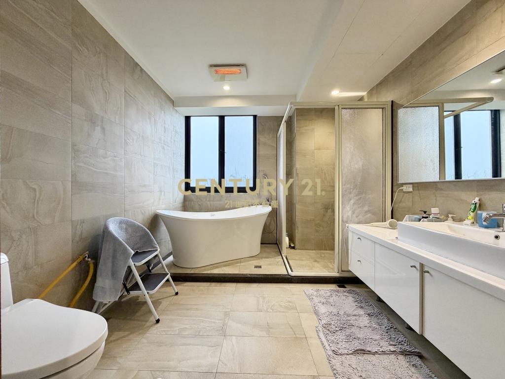 陽光山林超大地坪電梯豪宅