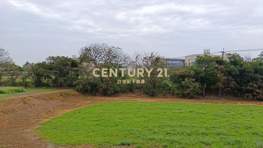 近青埔A19超值美別墅