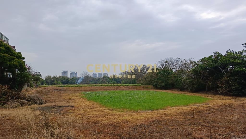 近青埔A19超值美別墅