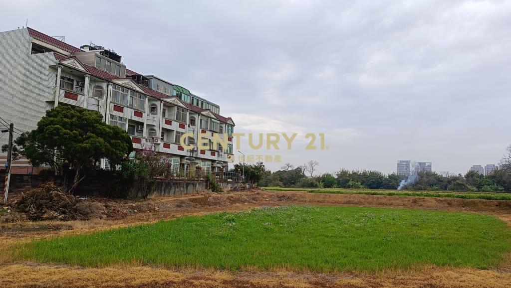 近青埔A19超值美別墅