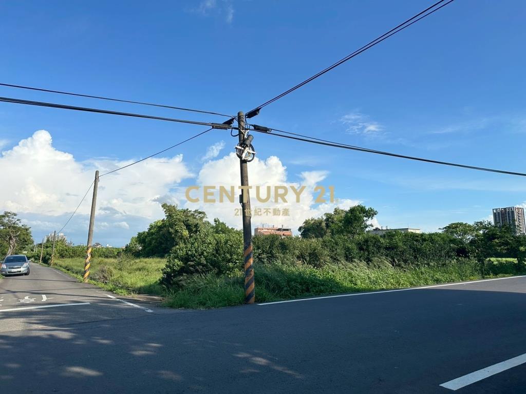 近青埔.山東國小雙面臨路美農地