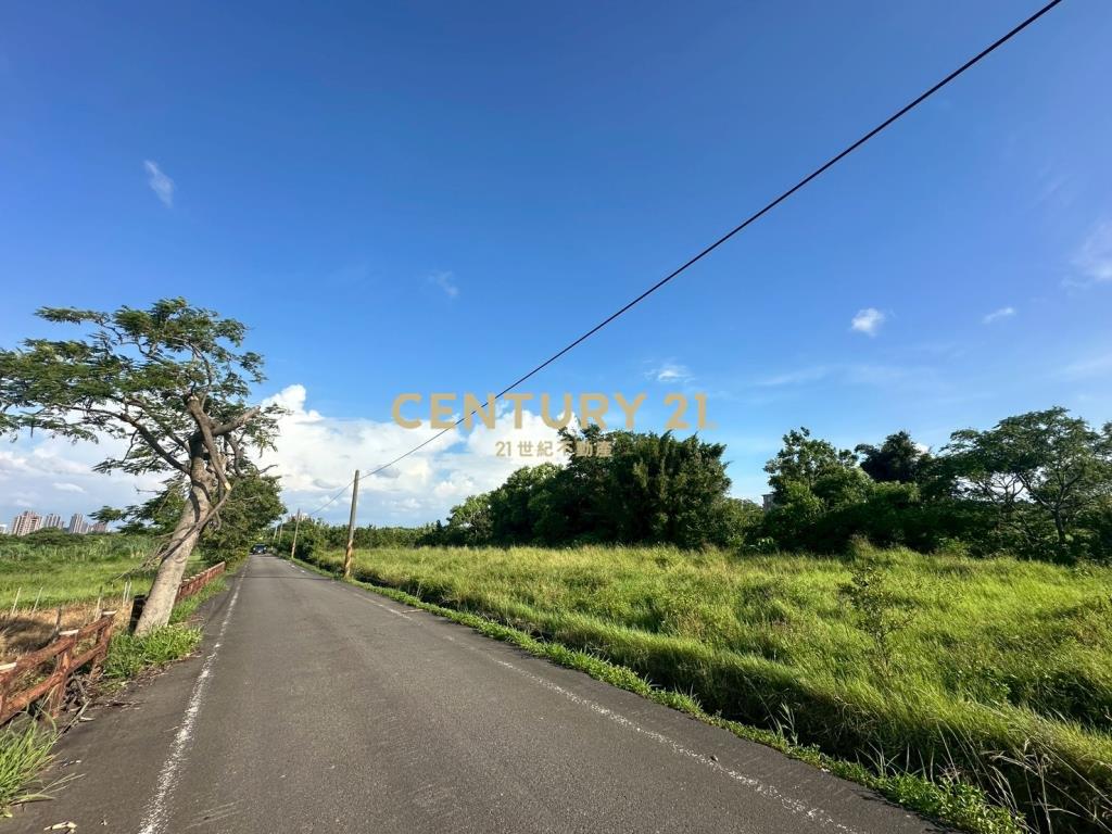 近青埔.山東國小雙面臨路美農地