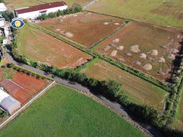 山東國小農地 140米大面寬 雙面臨路