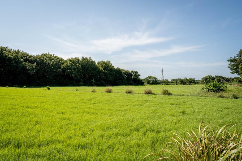 中壢Costco農地|送休閒魚池【獨家】