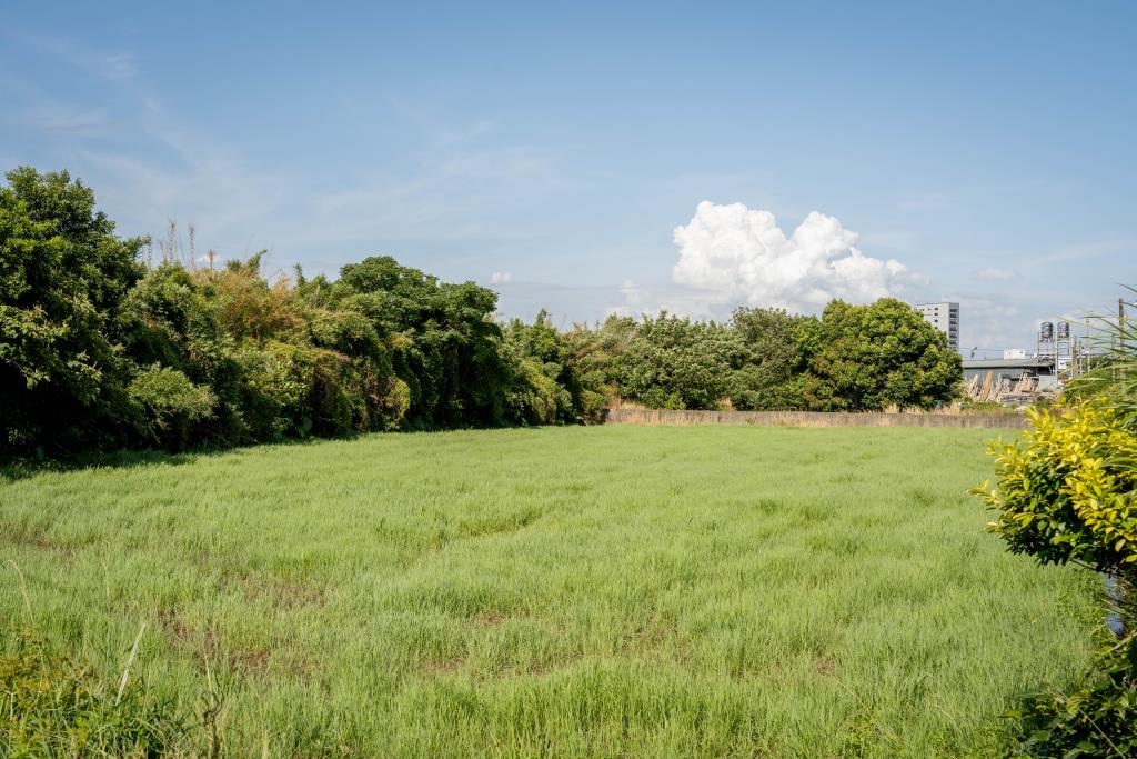 中壢Costco農地|送休閒魚池【獨家】