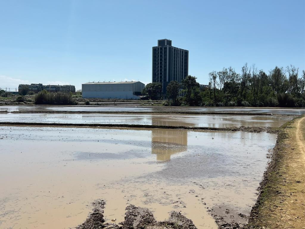 Costco福恩路農地
