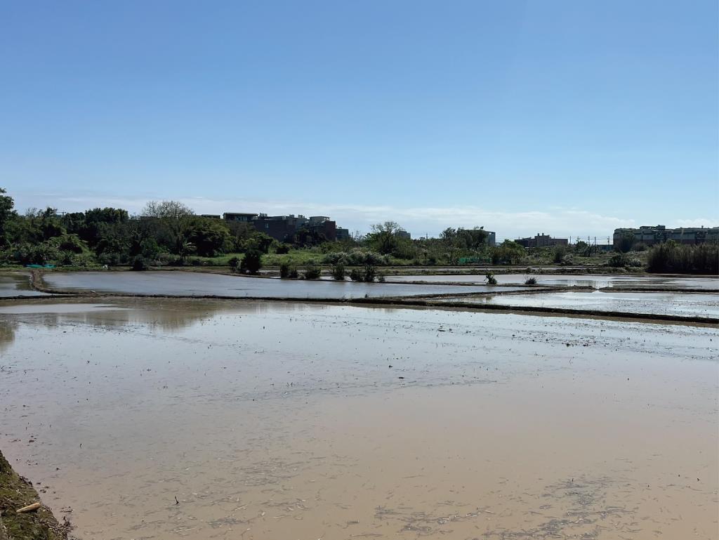 Costco福恩路農地