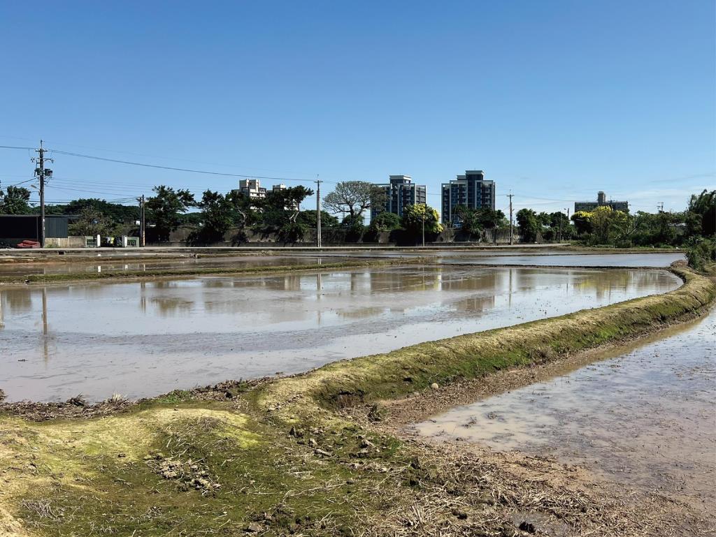 Costco福恩路農地