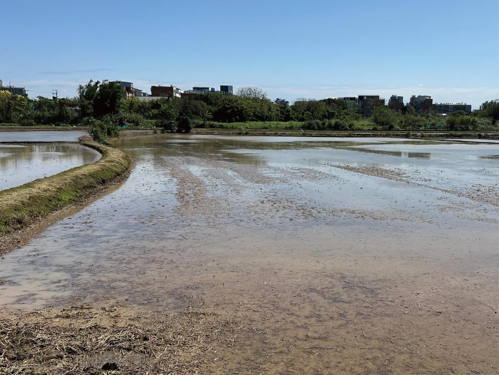 Costco福恩路農地