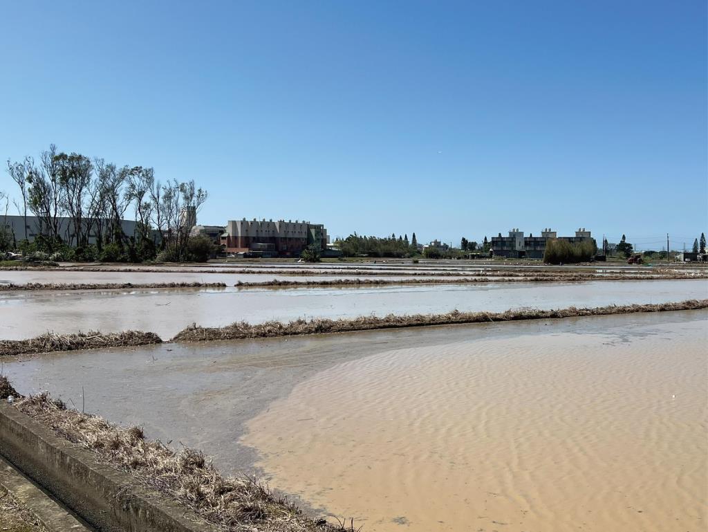 Costco福恩路農地