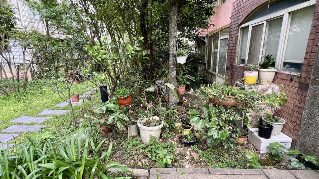 大華中小學⭐陽光山林重疊別墅🏠走路到校