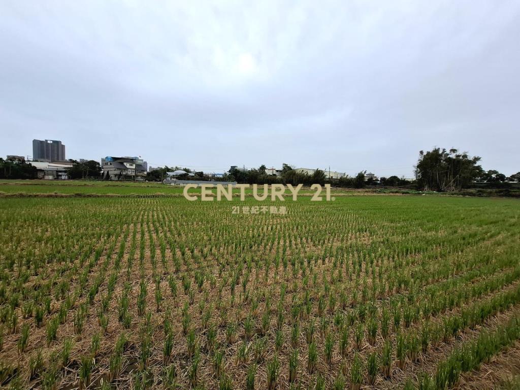 🔥台鐵中路重劃旁都計農