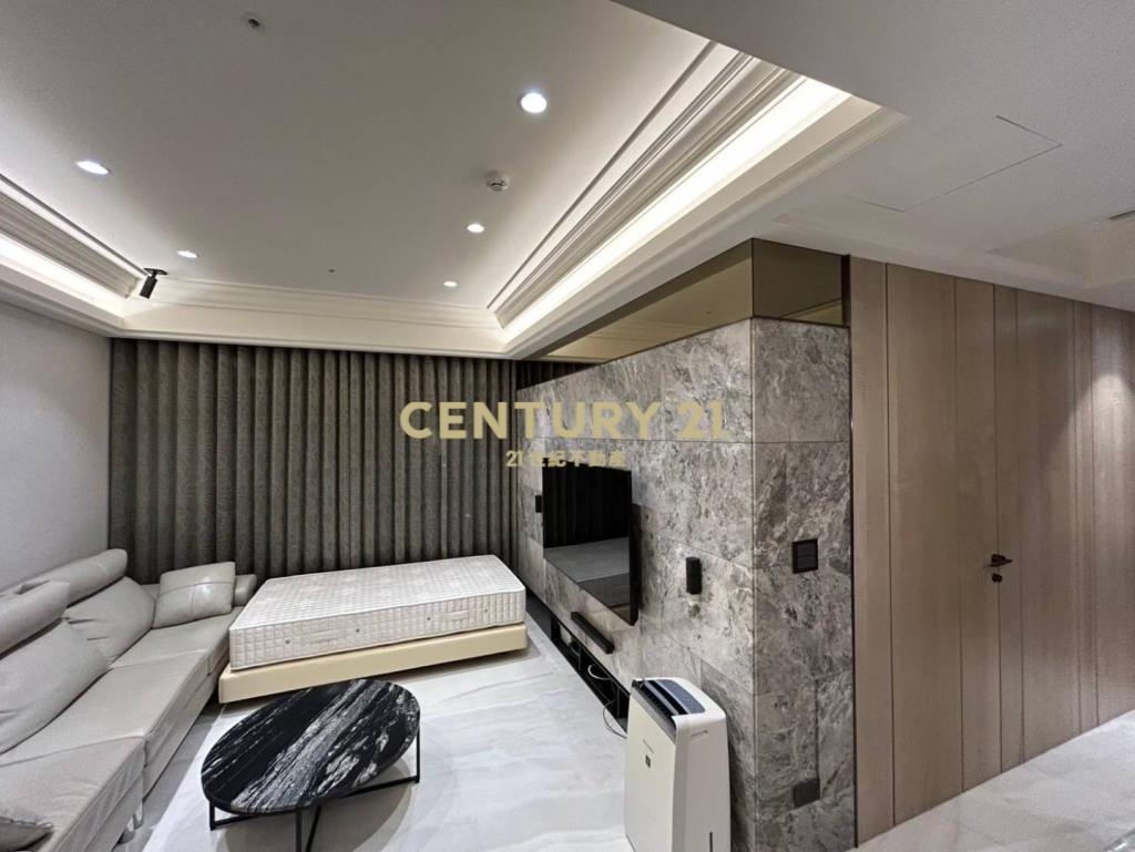 桃園站前無敵景觀名師裝潢3改2房+2車位