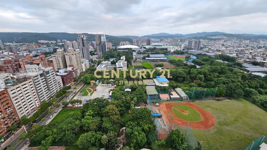 桃園站前無敵景觀名師裝潢3改2房+2車位