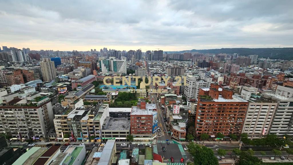 桃園站前無敵景觀名師裝潢3改2房+2車位