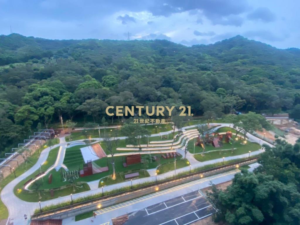 桃園小天母蛋黃區正大有路3層樓金店面