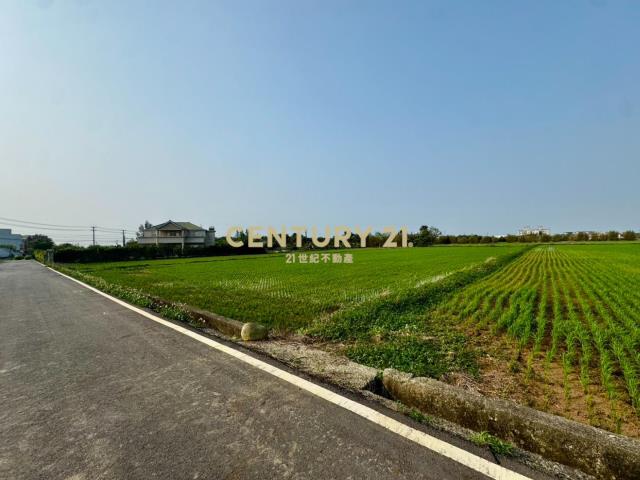 專任 新屋後湖近市區｜新屋馬場方正美農地