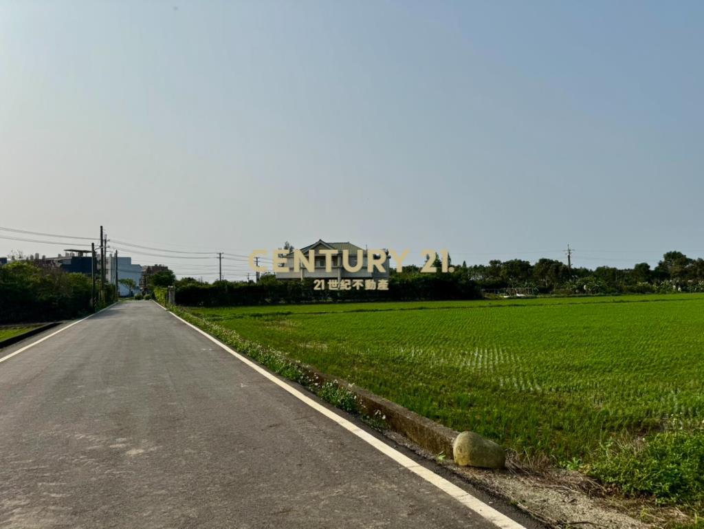 專任 新屋後湖近市區｜新屋馬場方正美農地