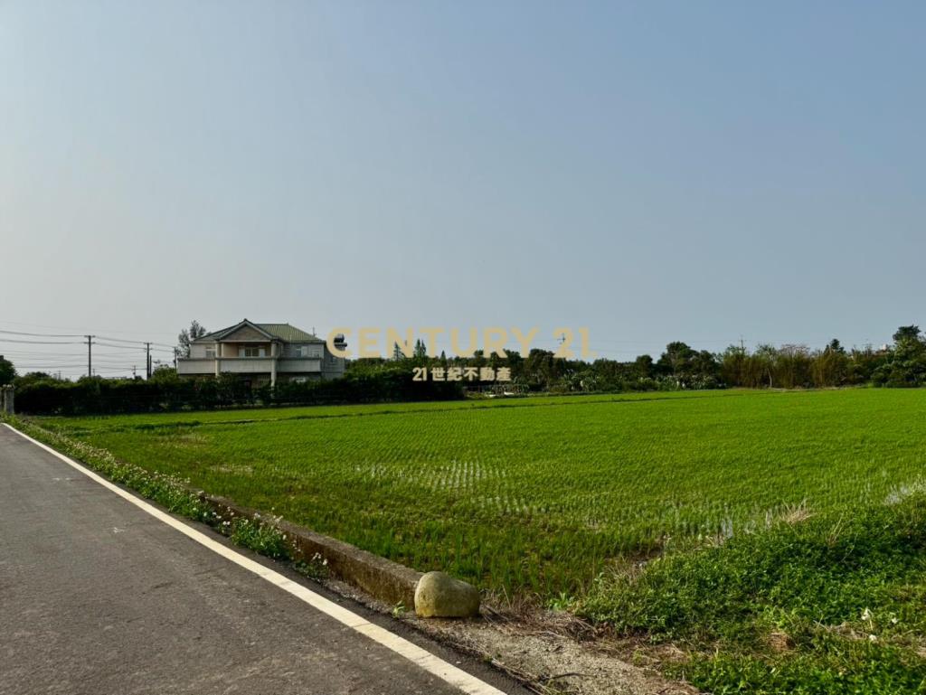專任 新屋後湖近市區｜新屋馬場方正美農地