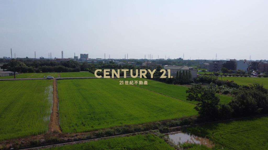 專任 新屋後湖近市區｜新屋馬場方正美農地