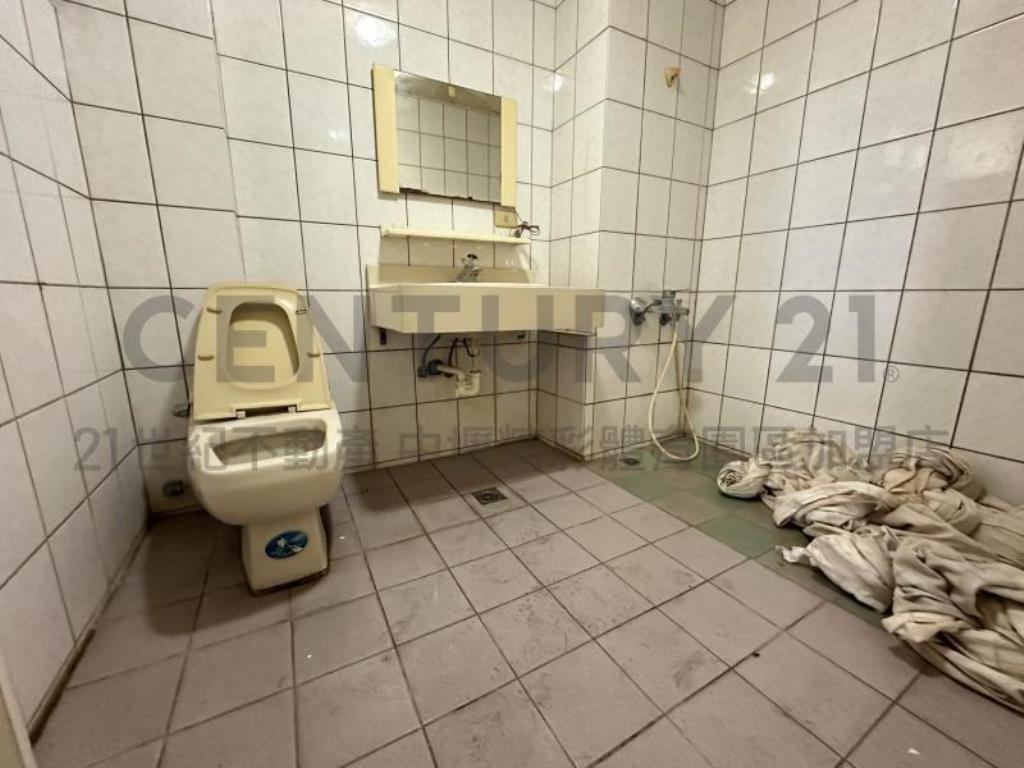 [精彩]龍潭科學園區梅花莊邊間別墅