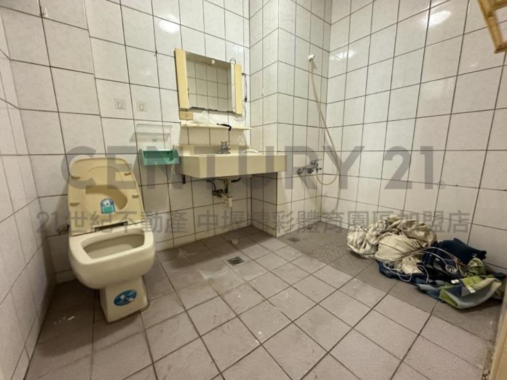 [精彩]龍潭科學園區梅花莊邊間別墅