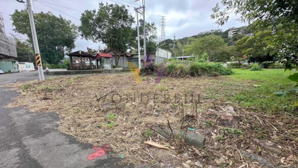 [精彩]龍潭中正路旁建地