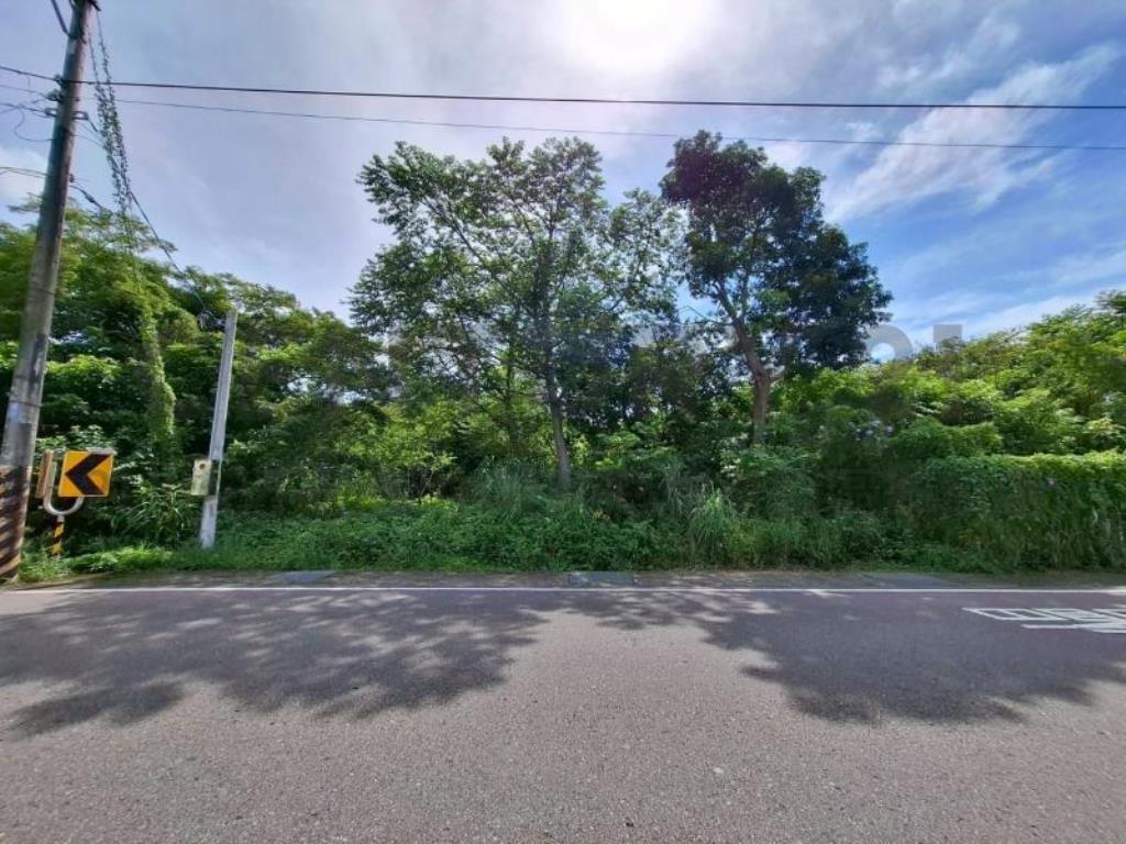 [精彩]正富華街旁小農地