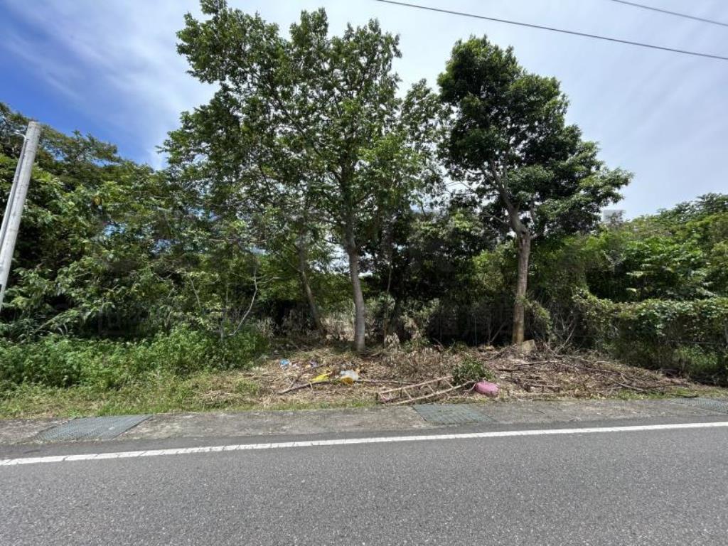 [精彩]正富華街旁小農地