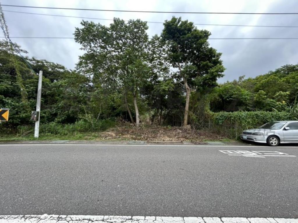 [精彩]正富華街旁小農地