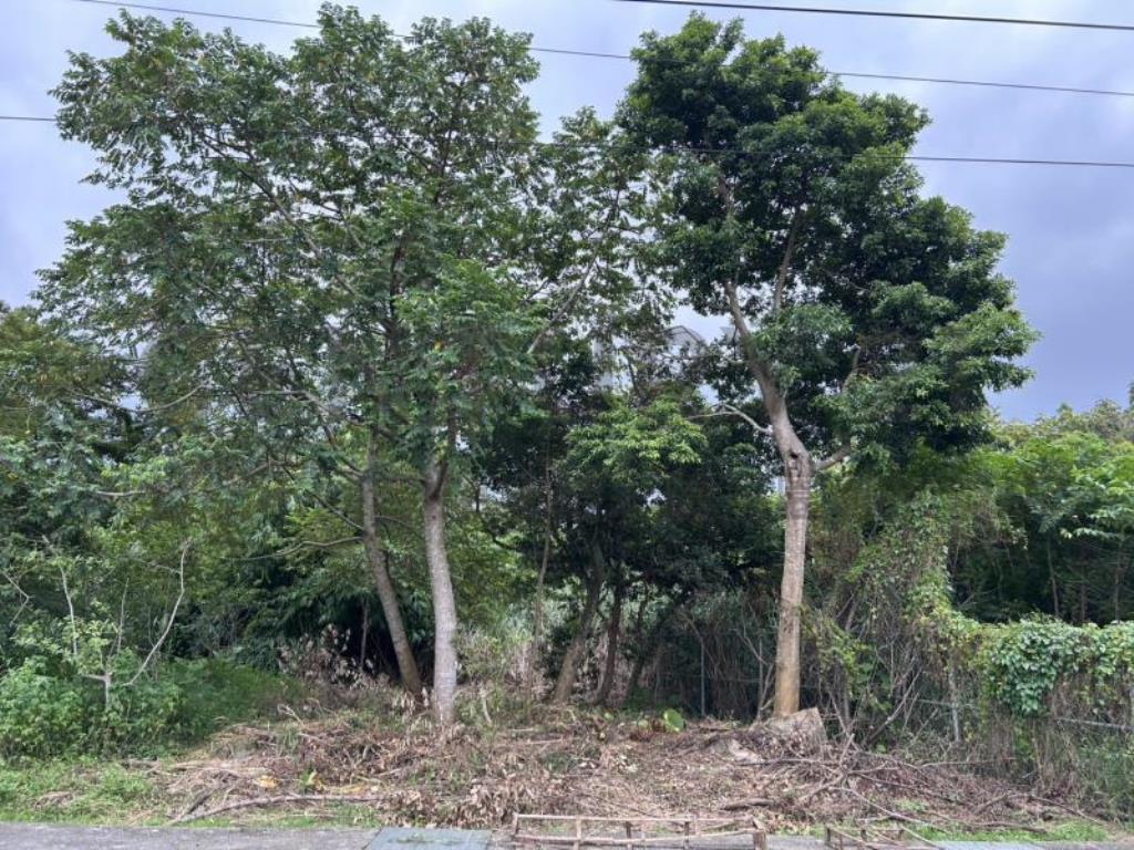 [精彩]正富華街旁小農地