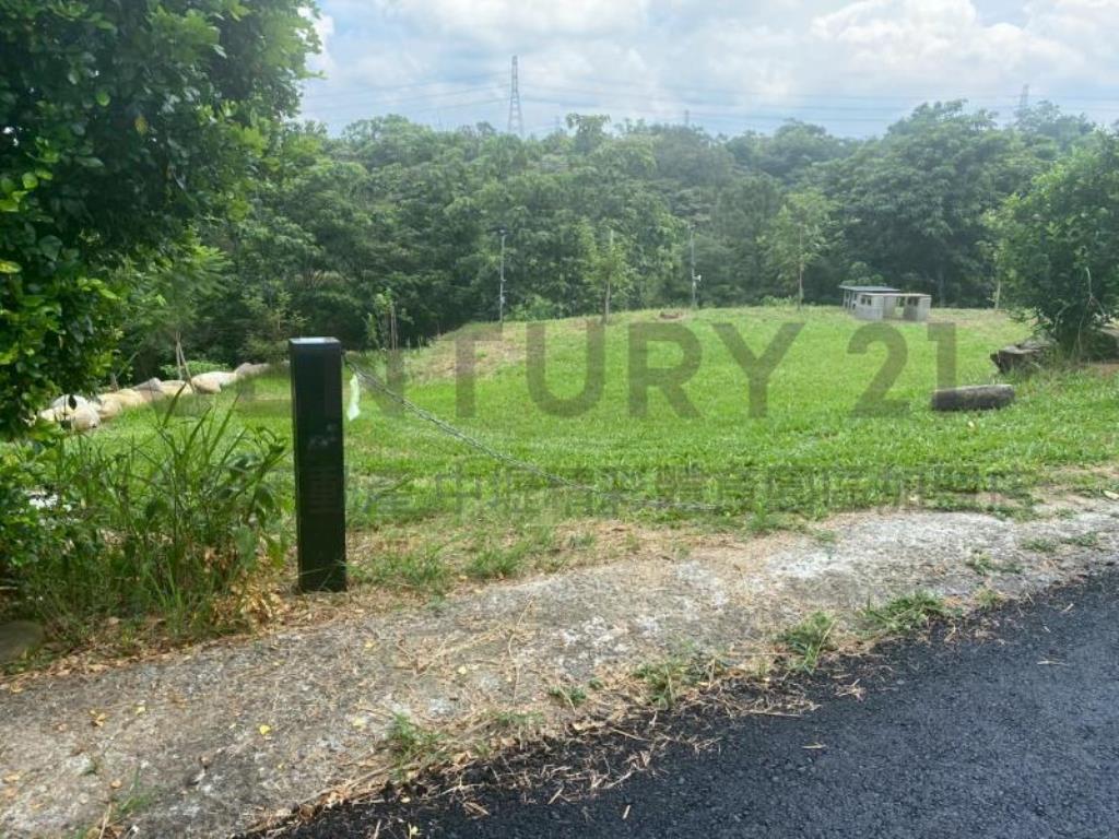 [精彩]關西大東坑休閒農地