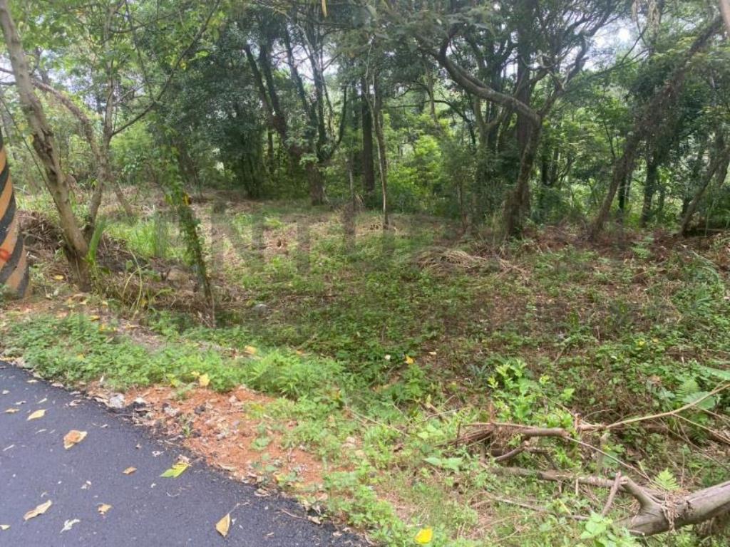 [精彩]關西大東坑休閒農地