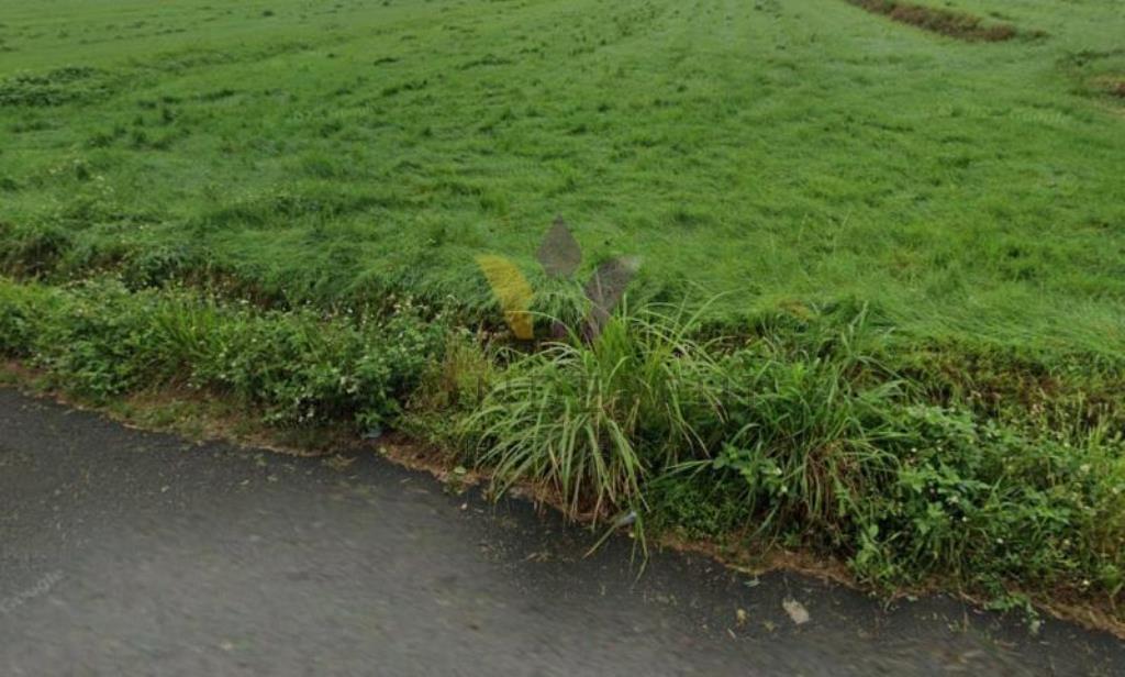 [精彩]新坡大福路臨路方正美農地