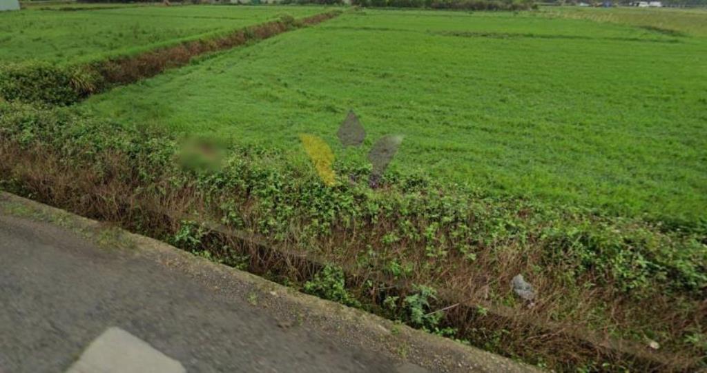 [精彩]新坡大福路臨路方正美農地