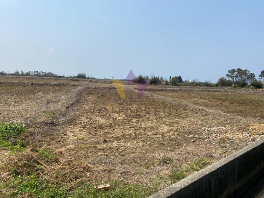 [精彩]觀音六六快速路農保田